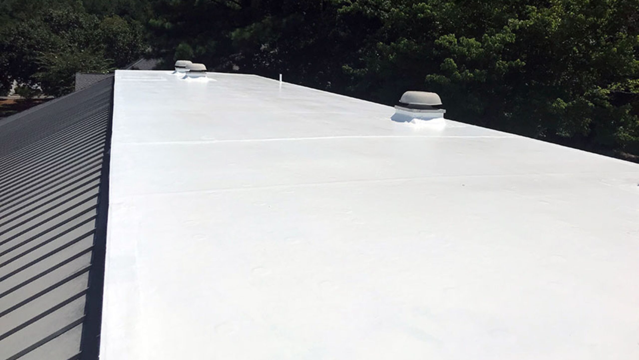 A close-up view of a roof painted white, showcasing its smooth surface and clean appearance under natural light.