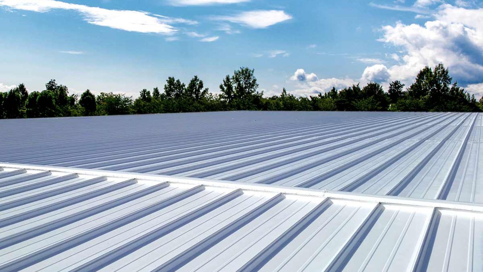 A white metal roof is framed by trees in the background
