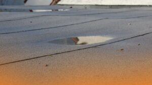 Spotting Roof Leaks Early: Tips for Florida Business Owners