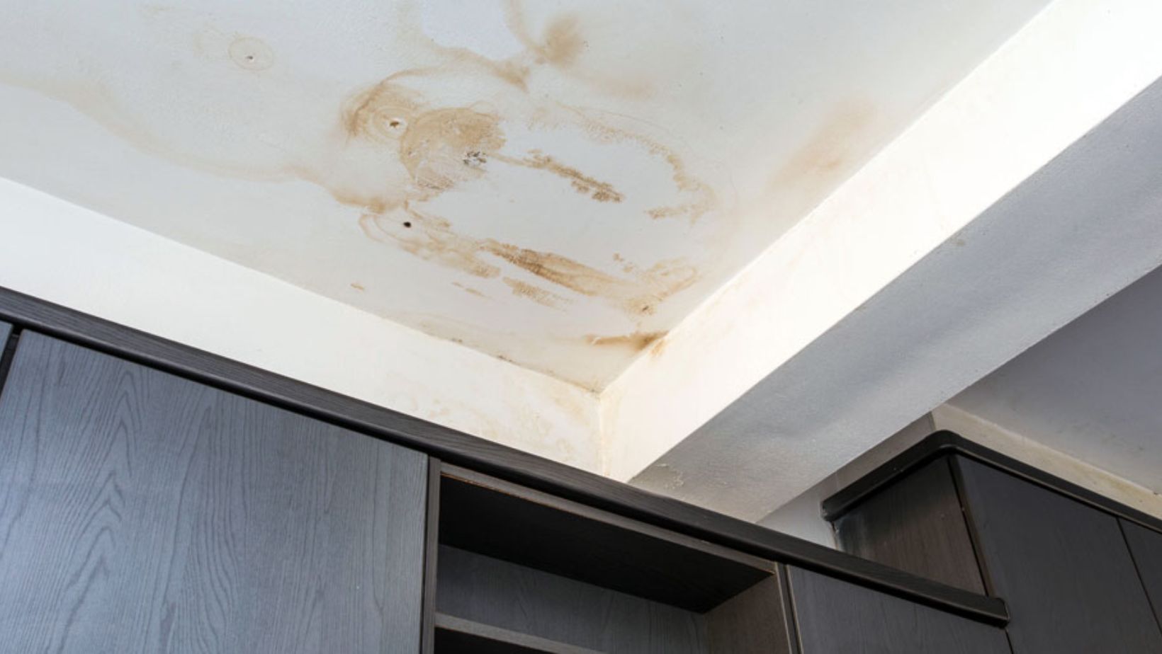 A ceiling showing visible mold and water damage